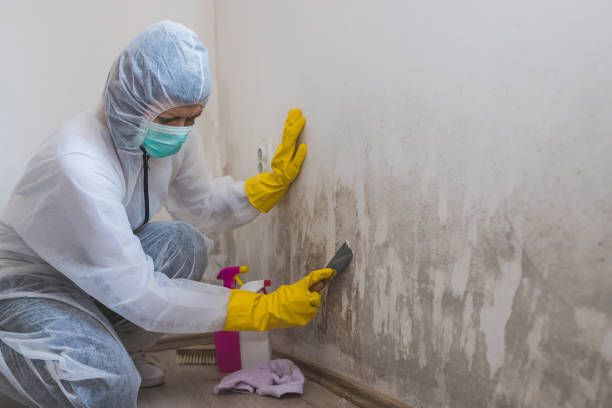 Best Asbestos and Lead Testing During Mold Inspection  in Caldwell, TX